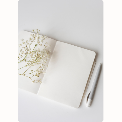 No Plan Coaching